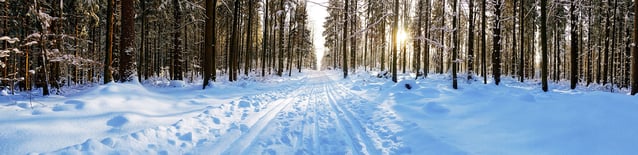 Skiing in NH